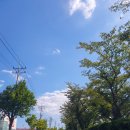 산호동121 | 창원 가볼만한 곳, 원정 야구경기 응원가기 ‘창원NC파크’