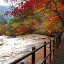 10/15(목)황홀한 가을단풍길(백담사-영시암-오세암)이벤트-강풍 이미지