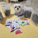 덴탈이유 | 강아지 간식 덴탈껌 네이버 펫 바우처 혜택으로 저렴하게 구매