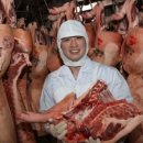 부라더축산 이미지