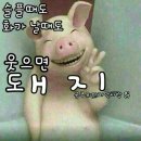 일소 일로 용인가구대통령 이미지