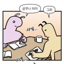 내일더예쁘게