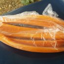 아라뱃길 승마클럽 이미지