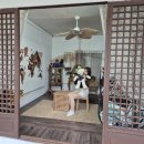 워터홀릭 | 제주도 실내 여행지 추천/비추천 후기(제주 홀릭, 키티, 워터)
