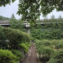 트리밸리 | 강원도 원주 계곡 수영장 펜션 트리밸리펜션 내돈내산 추천이유