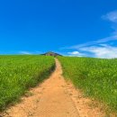 천북목장 이미지