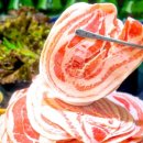 수영냉삼 이미지