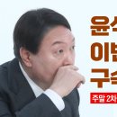 비루한 '살무사' 검찰 "이러다 다 죽는다"...이번주 윤석열 구속할 듯 [토픽] 이미지