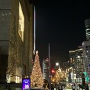 (주) 한국어질리티연합(카페어질리티) | 위키드팝업, 고기리막국수 오픈런, 한국외대 명수당 단풍놀이, 광명반려동물 문화축제 레츠고