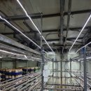 다온시스템 이미지