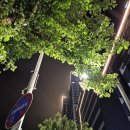 초지역 교통섬(초지역) 이미지