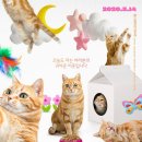 고양이집사 이미지