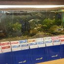 빅애플슈퍼 이미지