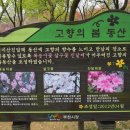 은혜지물포