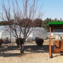 동정성모유치원 이미지