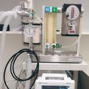 펫 파라다이스 동물병원 이미지