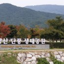 내장산 단풍생태공원 이미지