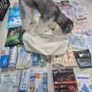 펫스타일 | 2026 펫쇼코리아 펫쇼백 당첨 후기 강아지 사료 간식 샘플 가득