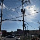 또가네식당 | 평택역 점심 맛집 시원하고 얼큰한 국밥과 잡내 없는 수육의 진수 금가네장터 평택역점