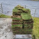 소서제주 7월2일 이미지