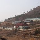 신안꾸지뽕나무영농조합법인