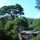 탑산농장 이미지