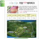 사과나무 - 동작구 | 사과나무