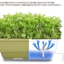 화분들닷컴 네이버블로그