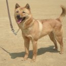 용필농장 이미지