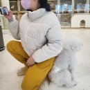 더누리개 | 김포 애견카페 및 강아지호텔 비용 풍무동 더누리개 (내돈내산)