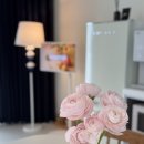 그달아래 이미지