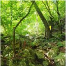 능강교 앞 화장실 | 금수산(상학주차장~절골~망덕봉 삼거리~금수산~망덕봉 삼거리~망덕봉~ 소용아릉~능강계곡~능산교주차장...