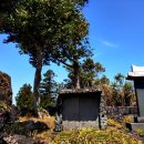 의사오흥태지려 이미지