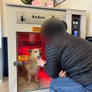 올리스 아시아드점 이미지