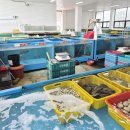 삼성회수산 건너편 | 태안 안면도 회센터 추천 | 방포수산 (제철 쭈꾸미와 싱싱한 활어회)