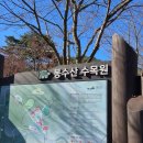 [예산 추천코스]봉수산 자연휴양림 숲속의집 다람쥐 숙박 후기 / 산마루 가든 / 커피브리즈 후기