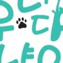 댕댕이냥냥 이미지