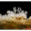 수정타운 이미지