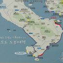 베스킨라빈스 앞 횡단보도 이미지