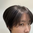 일층살롱(1F salon) | 연말 송년회 준비_파인트리 헤어살롱