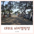 별따기캠핑장 | 23개월 아기랑 첫 캠핑 ㅣ 대부도 비치캠핑장