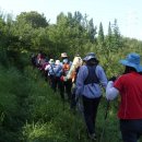 봉전농장 이미지