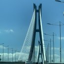 (주)포파코 포항상도지점 | 24년 늦은 생일 주간일기 | 거제도, 부산 찍먹 🎂💭