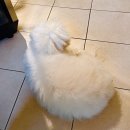 미미슈퍼 | [부산/광안리] 미미락락 : 따뜻한 미감 돋는 한식 브런치 카페