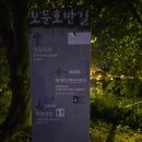 보문호반길 | 경주여행# 경주가볼만한곳 야경명소 보문호반길 아이와함께 산책후기