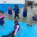 타이거 유치부 태권도 전용관 이미지