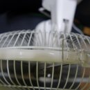 한일모터 Daum카페