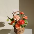 (주)부산팜 | 부산 동래 꽃집 라로제떼, 명륜동 어버이날 꽃바구니 성공 후기(재방문)