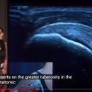 (주)케이디메디케어 이미지