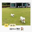 모모카네펜션